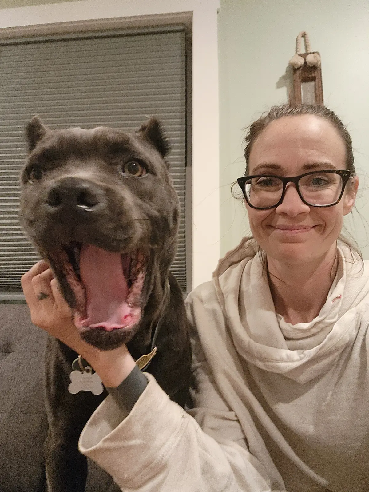 A happy dog posing beside a rescue volunteer