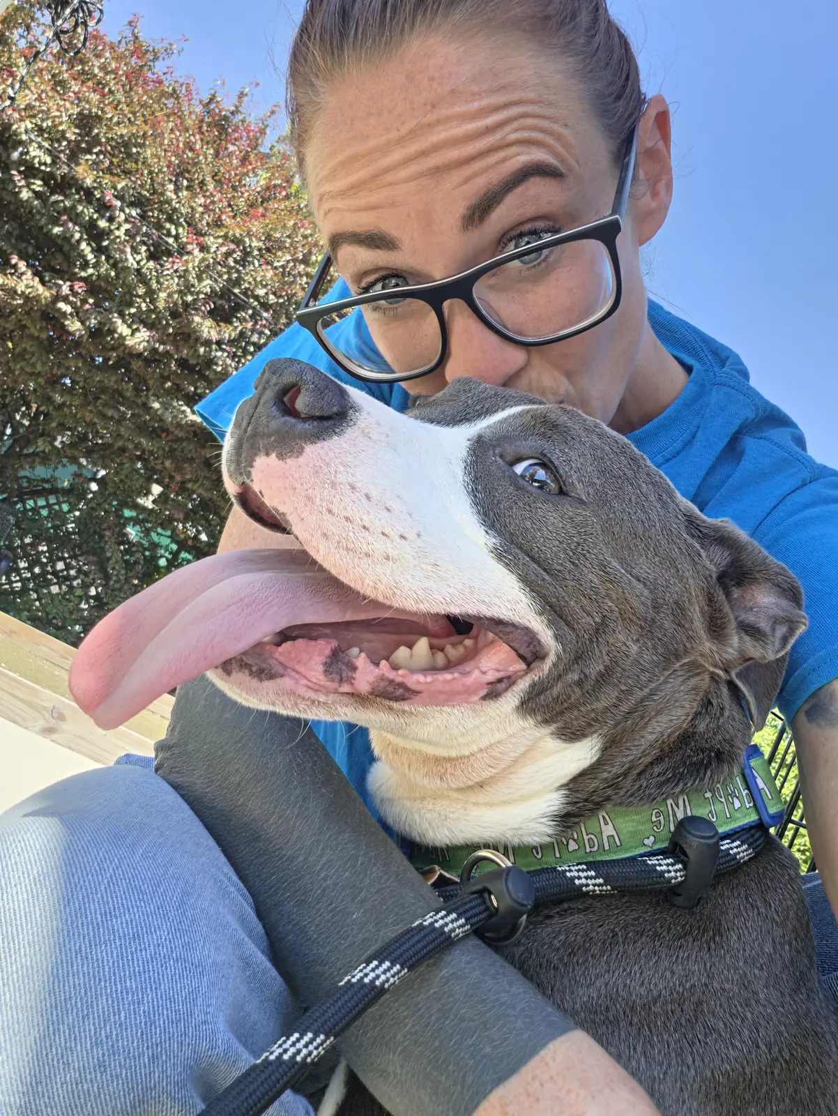 A happy rescue dog taking a close selfie with a caregiver