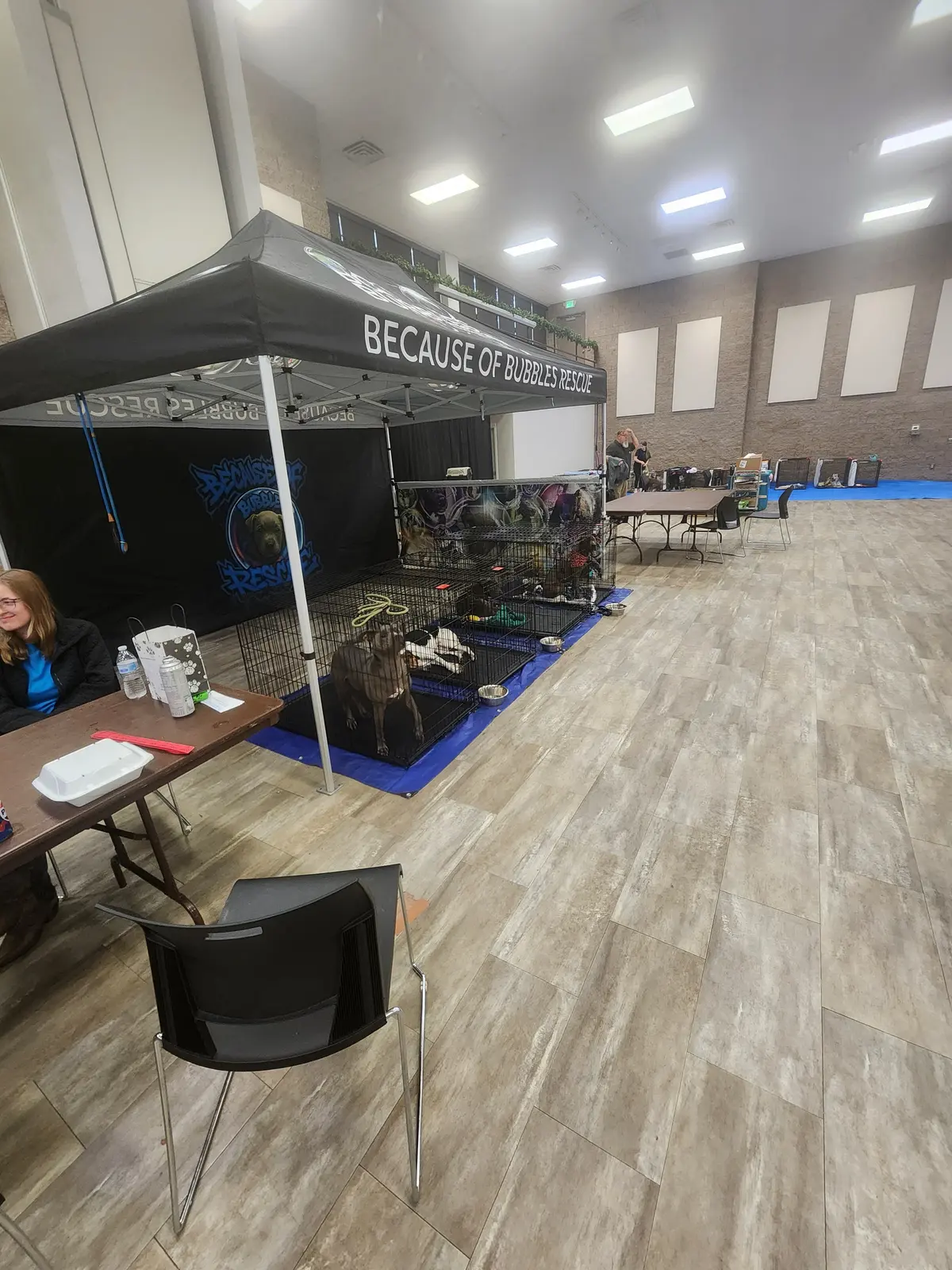 The Because of Bubbles booth set up for a community event