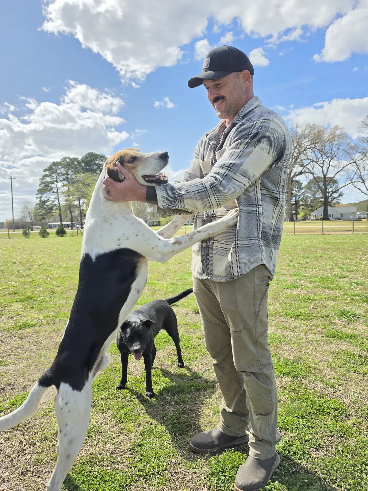 A handler spending time outdoors with two rescue dogs