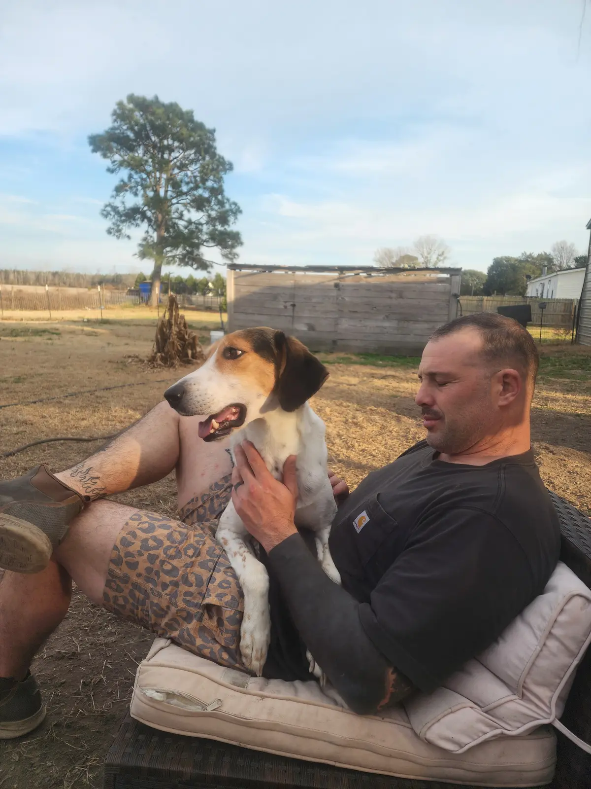 A calm rescue dog with a trusted handler