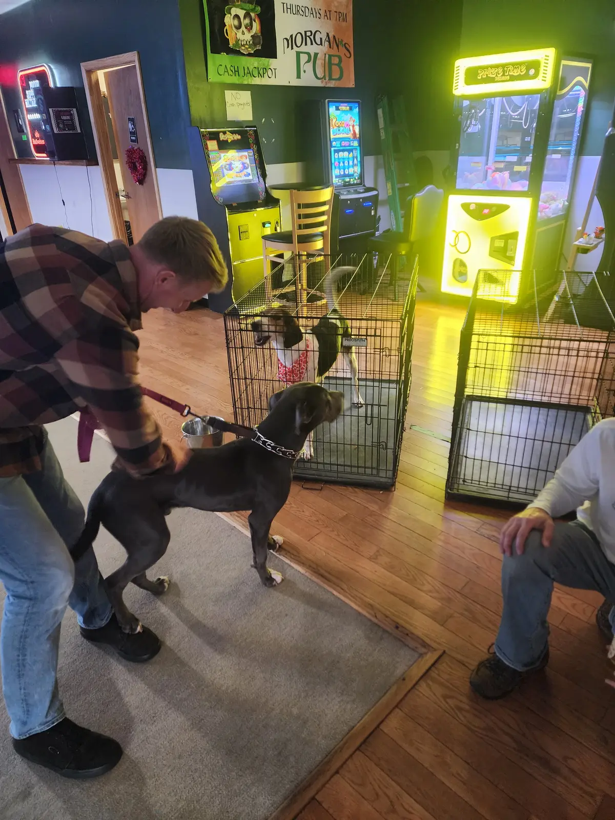 A rescue dog greeting a volunteer