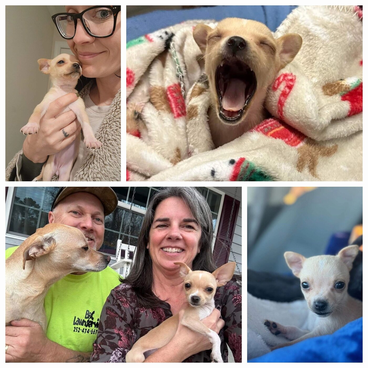 Frida, a Because of Bubbles Rescue success story