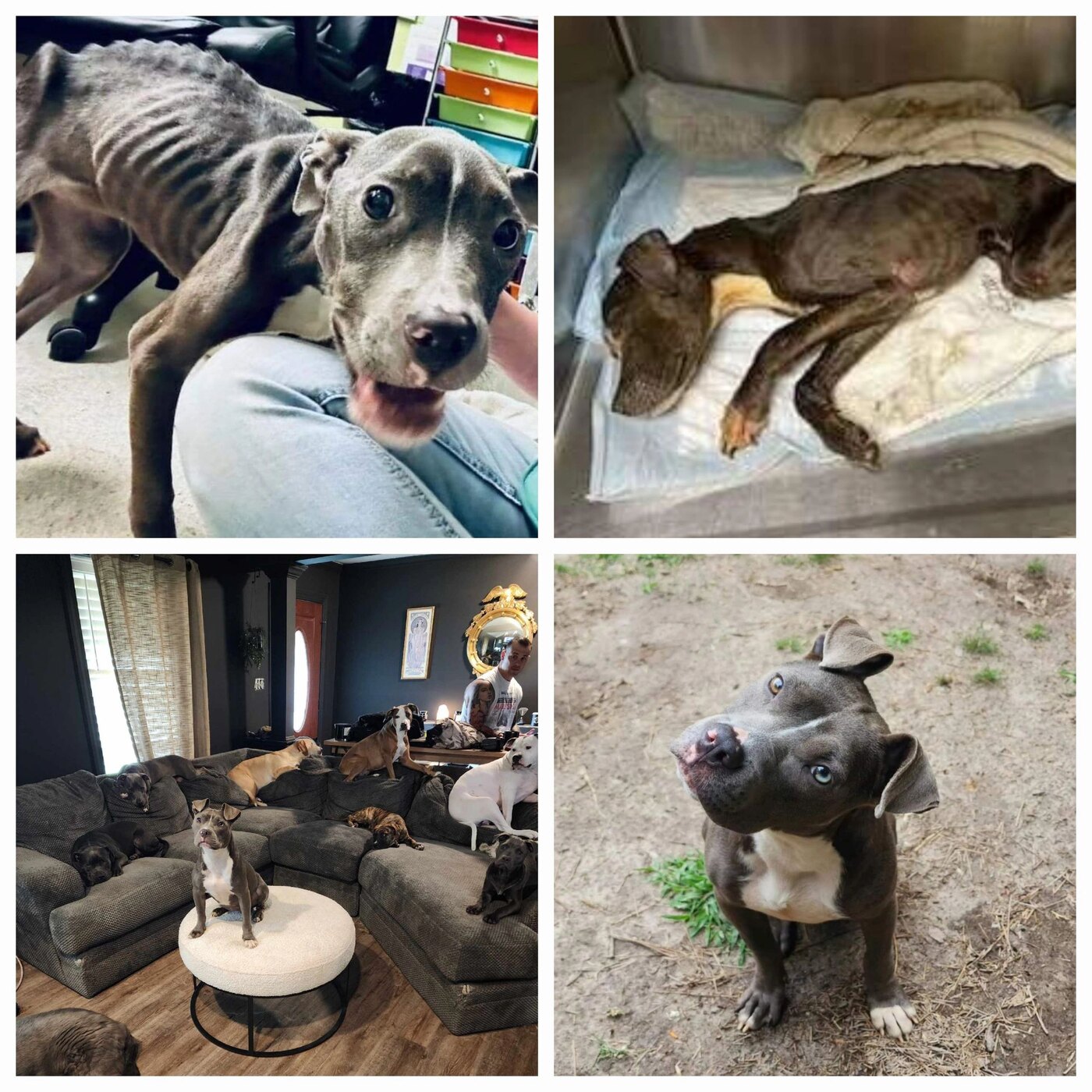 Slim's rescue and recovery photos